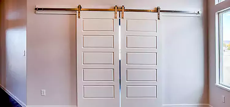 Glass Barn Door with Installation Hardware Kit East Haven